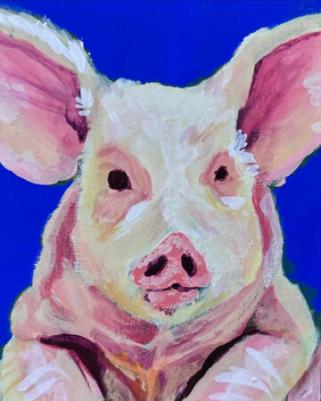 Pig